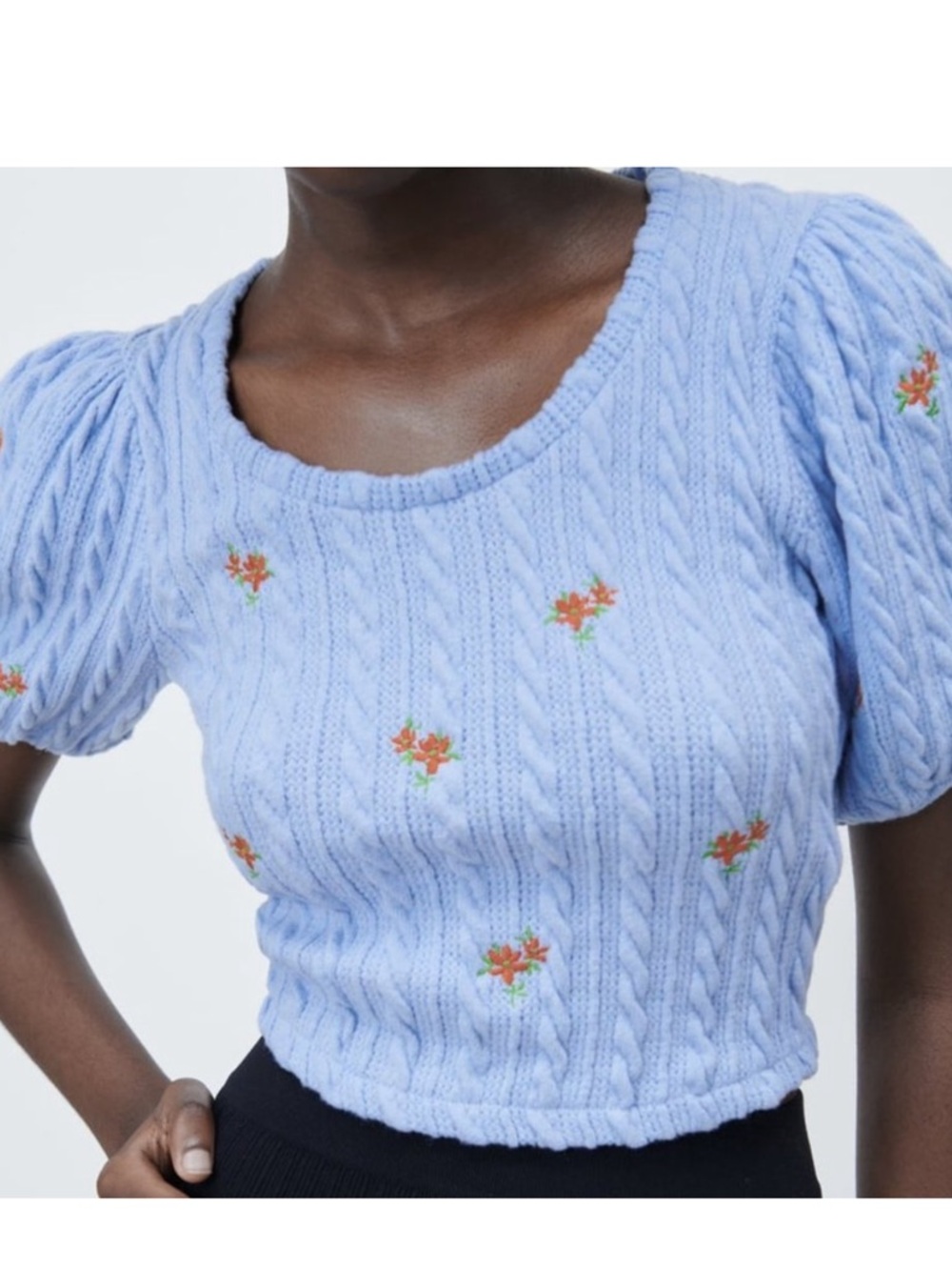 Zara Embroidered Knit Top Blue Floral Puff Sleeve Cropped